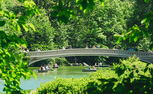 Central Park in Summer